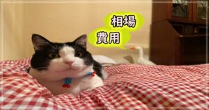屋根雨漏り修理　相場　費用